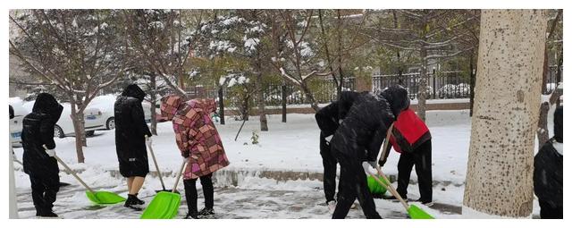 长春：保障冬季“绿色清雪”工作